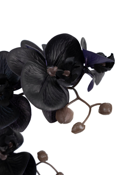 Orhidee artificiala neagra cu aspect natural H51 cm cu 2 tulpini