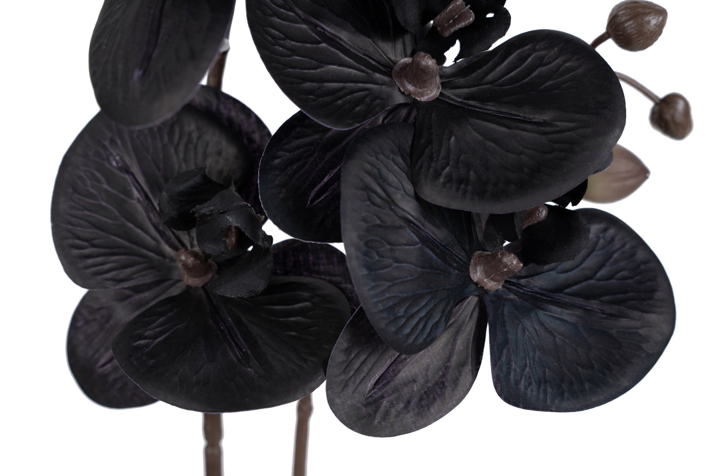 Orhidee artificiala neagra cu aspect natural H51 cm cu 2 tulpini
