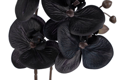 Orhidee artificiala neagra cu aspect natural H51 cm cu 2 tulpini