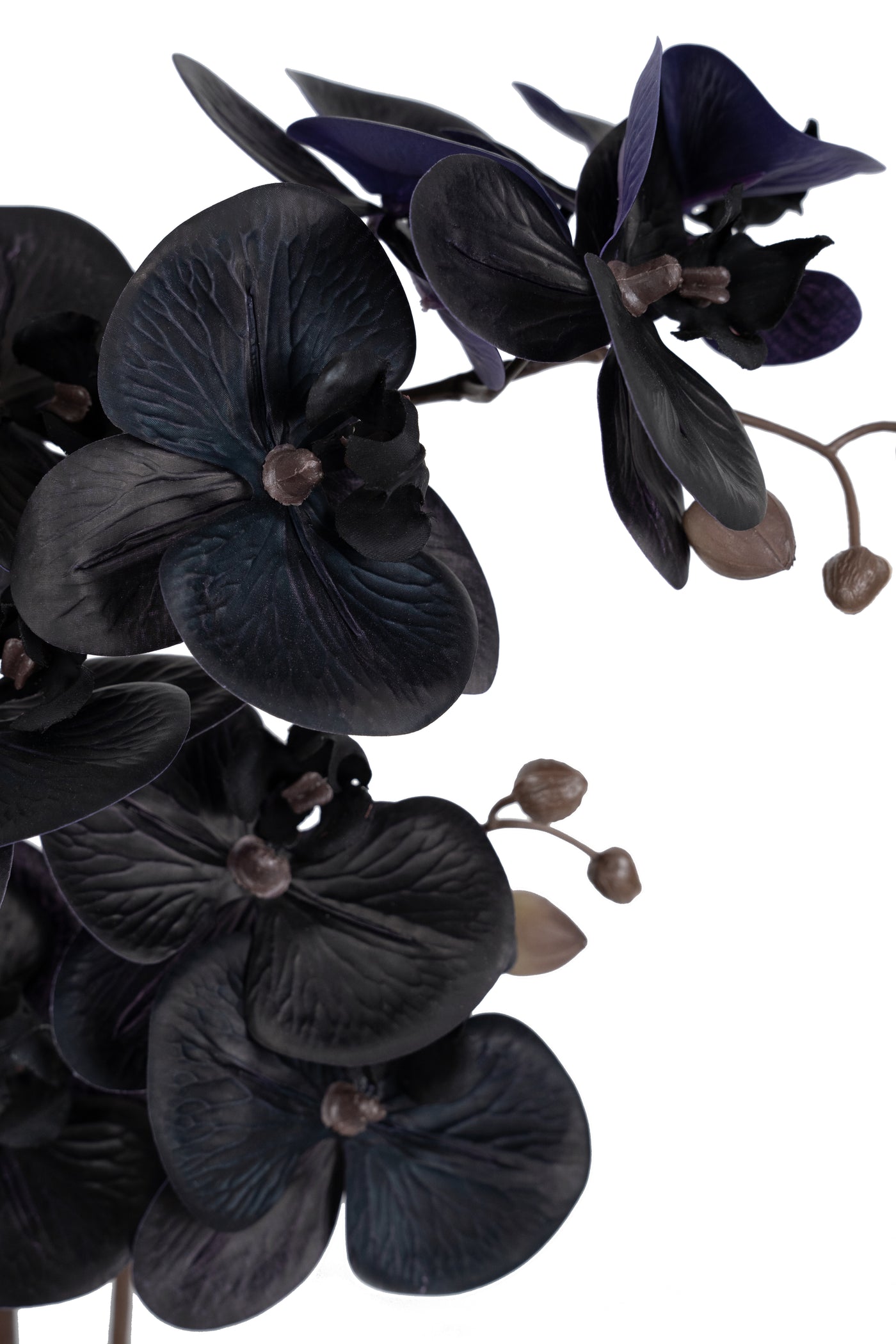 Orhidee artificiala neagra cu aspect natural H51 cm cu 2 tulpini