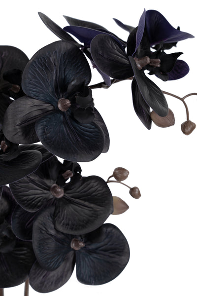 Orhidee artificiala neagra cu aspect natural H51 cm cu 2 tulpini