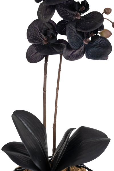 Orhidee artificiala neagra cu aspect natural H51 cm cu 2 tulpini