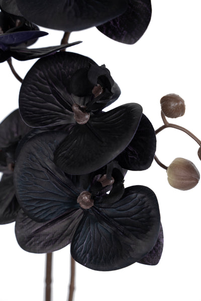 Orhidee artificiala neagra cu aspect natural H51 cm cu 2 tulpini