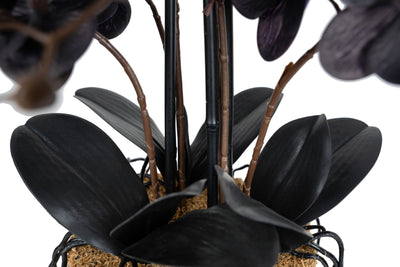 Orhidee artificiala neagra cu aspect natural H59 cm cu 6 tulpini