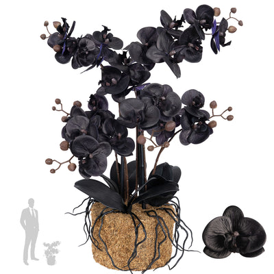 Orhidee artificiala neagra cu aspect natural H59 cm cu 6 tulpini