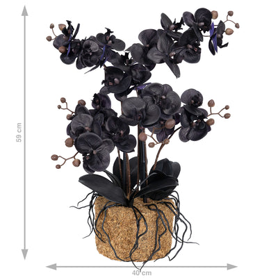 Orhidee artificiala neagra cu aspect natural H59 cm cu 6 tulpini