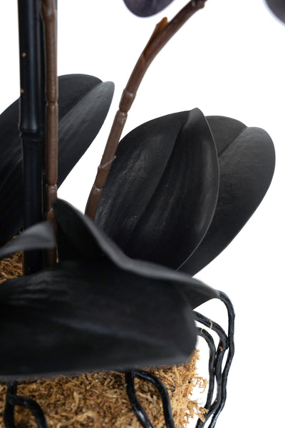 Orhidee artificiala neagra cu aspect natural H59 cm cu 6 tulpini