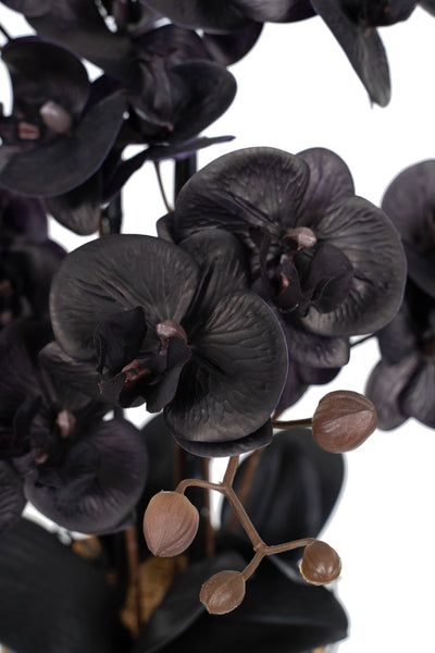 Orhidee artificiala neagra cu aspect natural H59 cm cu 6 tulpini