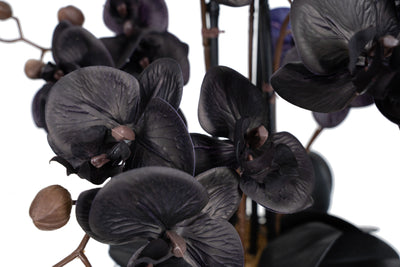 Orhidee artificiala neagra cu aspect natural H59 cm cu 6 tulpini