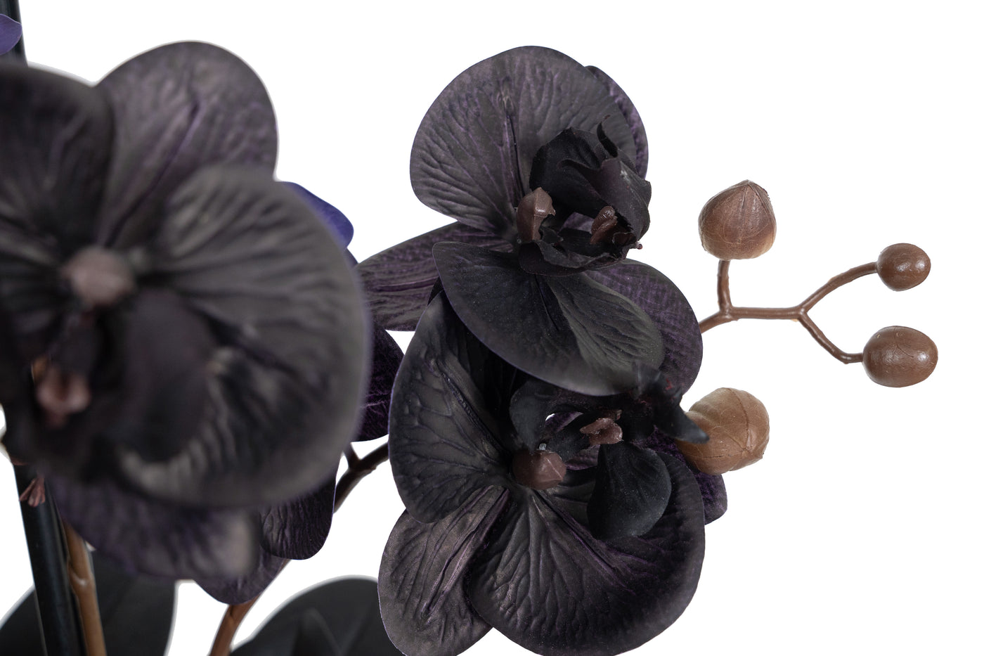 Orhidee artificiala neagra cu aspect natural H59 cm cu 6 tulpini