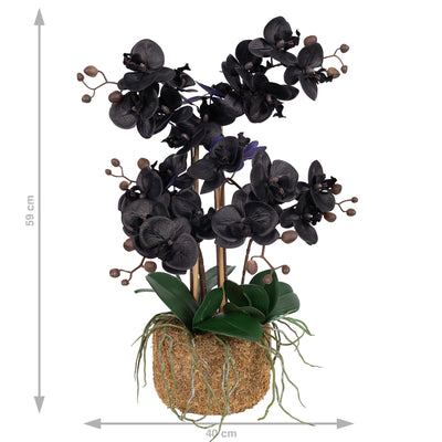 Orhidee artificiala neagra cu aspect natural H59 cm cu 6 tulpini