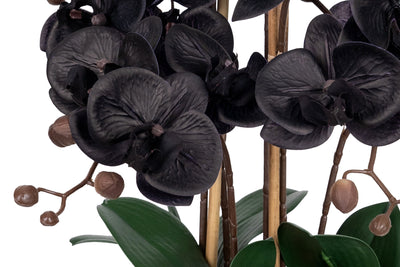 Orhidee artificiala neagra cu aspect natural H59 cm cu 6 tulpini