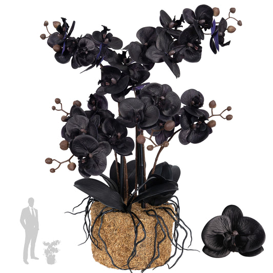 Orhidee artificiala neagra cu aspect natural H59 cm cu 6 tulpini cu frunze negre