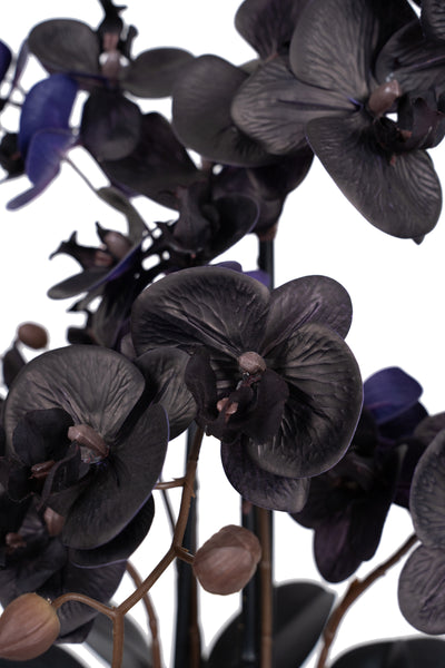 Orhidee artificiala neagra cu aspect natural H59 cm cu 6 tulpini cu frunze negre