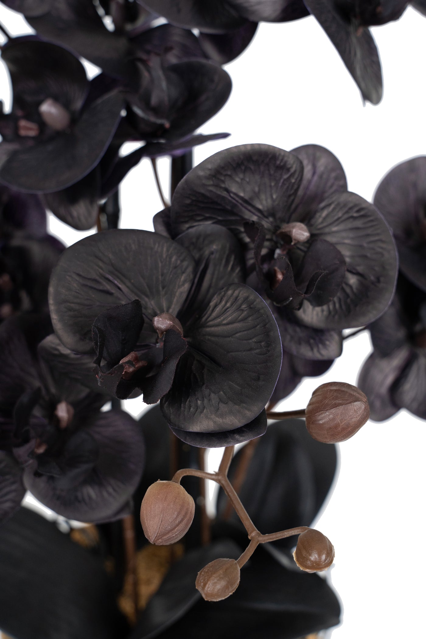 Orhidee artificiala neagra cu aspect natural H59 cm cu 6 tulpini cu frunze negre