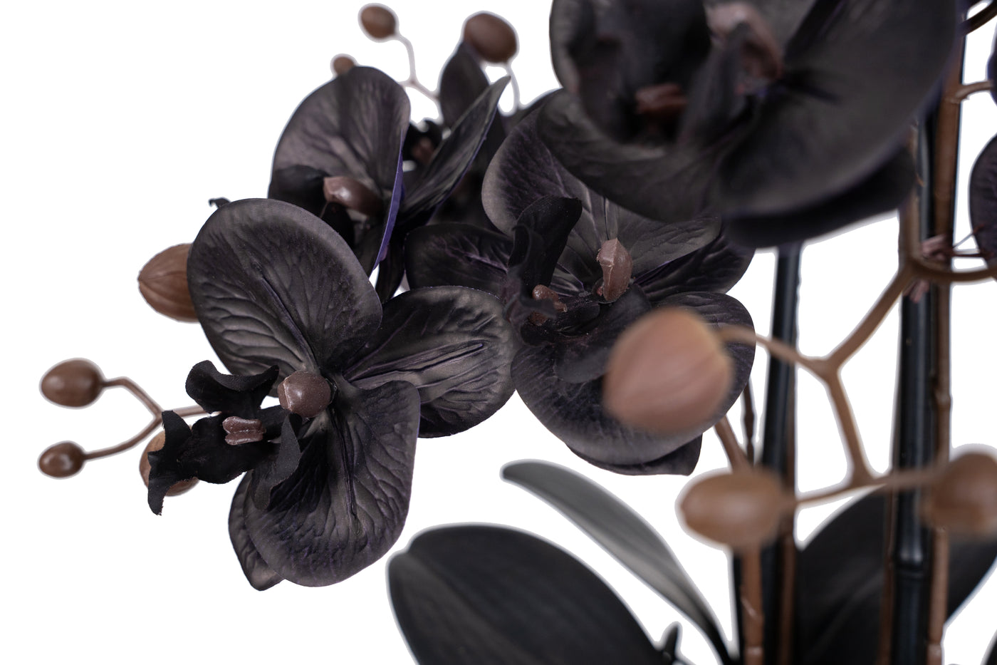 Orhidee artificiala neagra cu aspect natural H59 cm cu 6 tulpini cu frunze negre