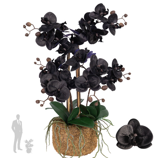 Orhidee artificiala neagra cu aspect natural H59 cm cu 6 tulpini cu frunze verzi
