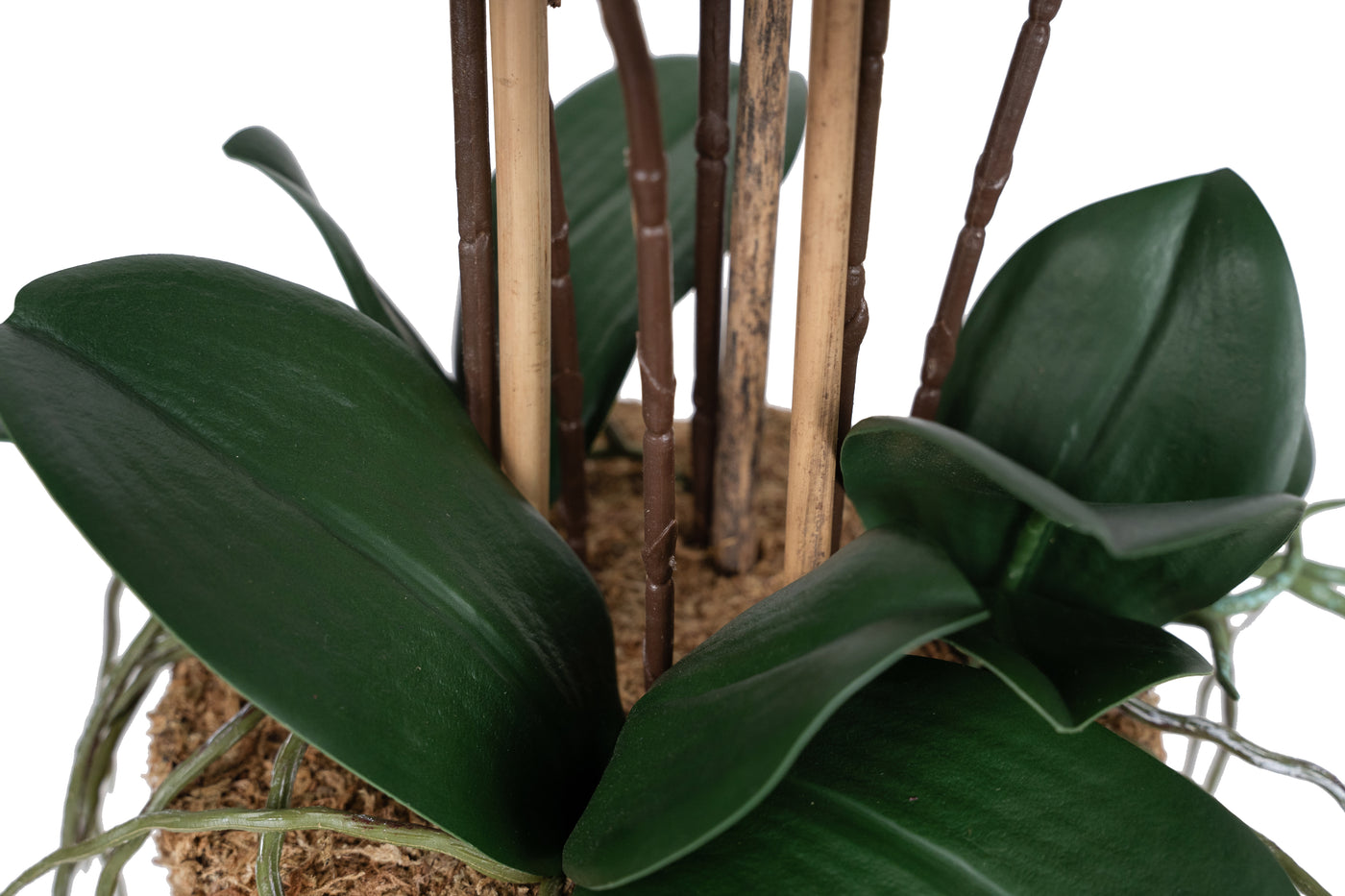 Orhidee artificiala neagra cu aspect natural H59 cm cu 6 tulpini cu frunze verzi