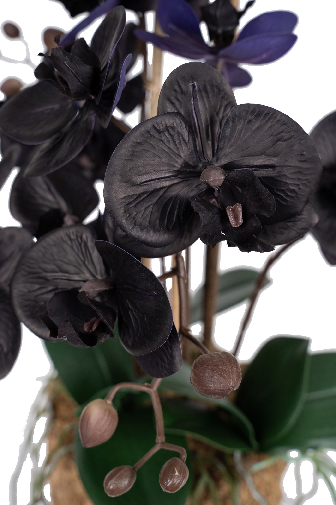 Orhidee artificiala neagra cu aspect natural H59 cm cu 6 tulpini cu frunze verzi