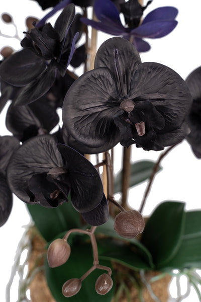 Orhidee artificiala neagra cu aspect natural H59 cm cu 6 tulpini cu frunze verzi