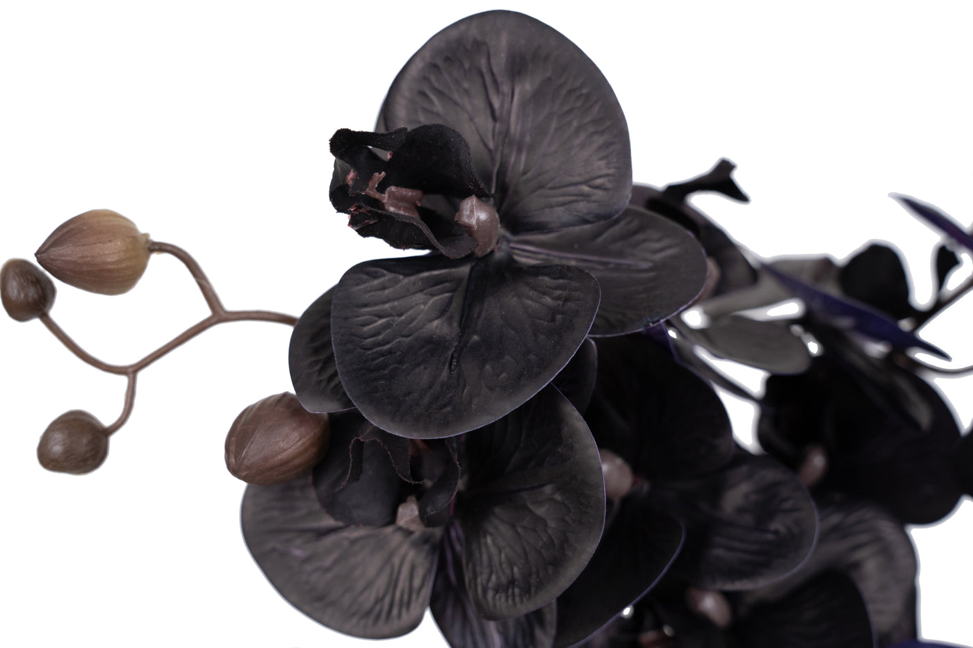 Orhidee artificiala neagra cu aspect natural H59 cm cu 6 tulpini cu frunze verzi