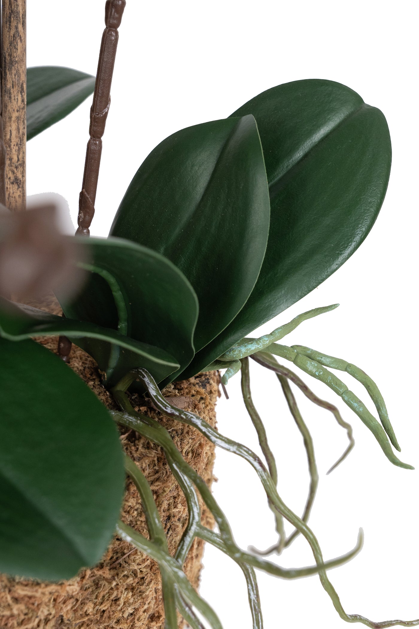 Orhidee artificiala neagra cu aspect natural H59 cm cu 6 tulpini cu frunze verzi