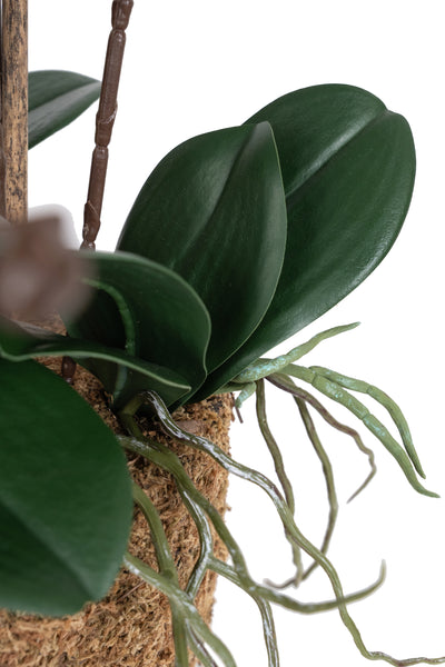 Orhidee artificiala neagra cu aspect natural H59 cm cu 6 tulpini cu frunze verzi