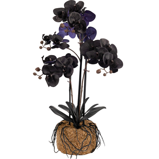 Orhidee artificiala neagra cu aspect natural H61 cm cu 3 tulpini