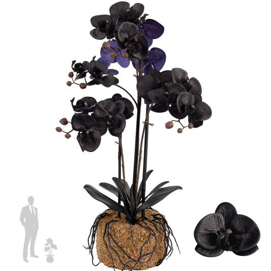Orhidee artificiala neagra cu aspect natural H61 cm cu 3 tulpini cu frunze negre