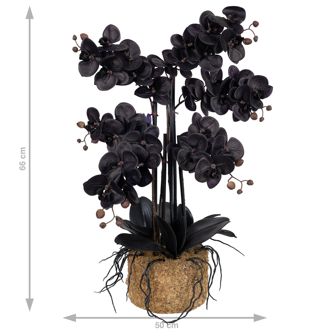 Orhidee artificiala neagra cu aspect natural H66 cm cu 6 tulpini