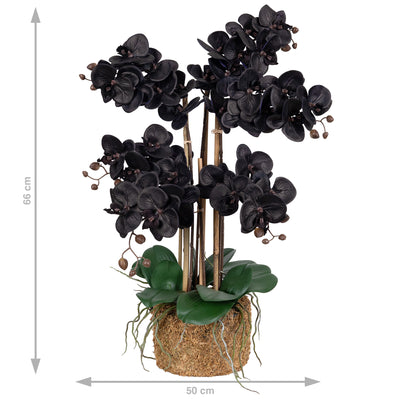 Orhidee artificiala neagra cu aspect natural H66 cm cu 6 tulpini