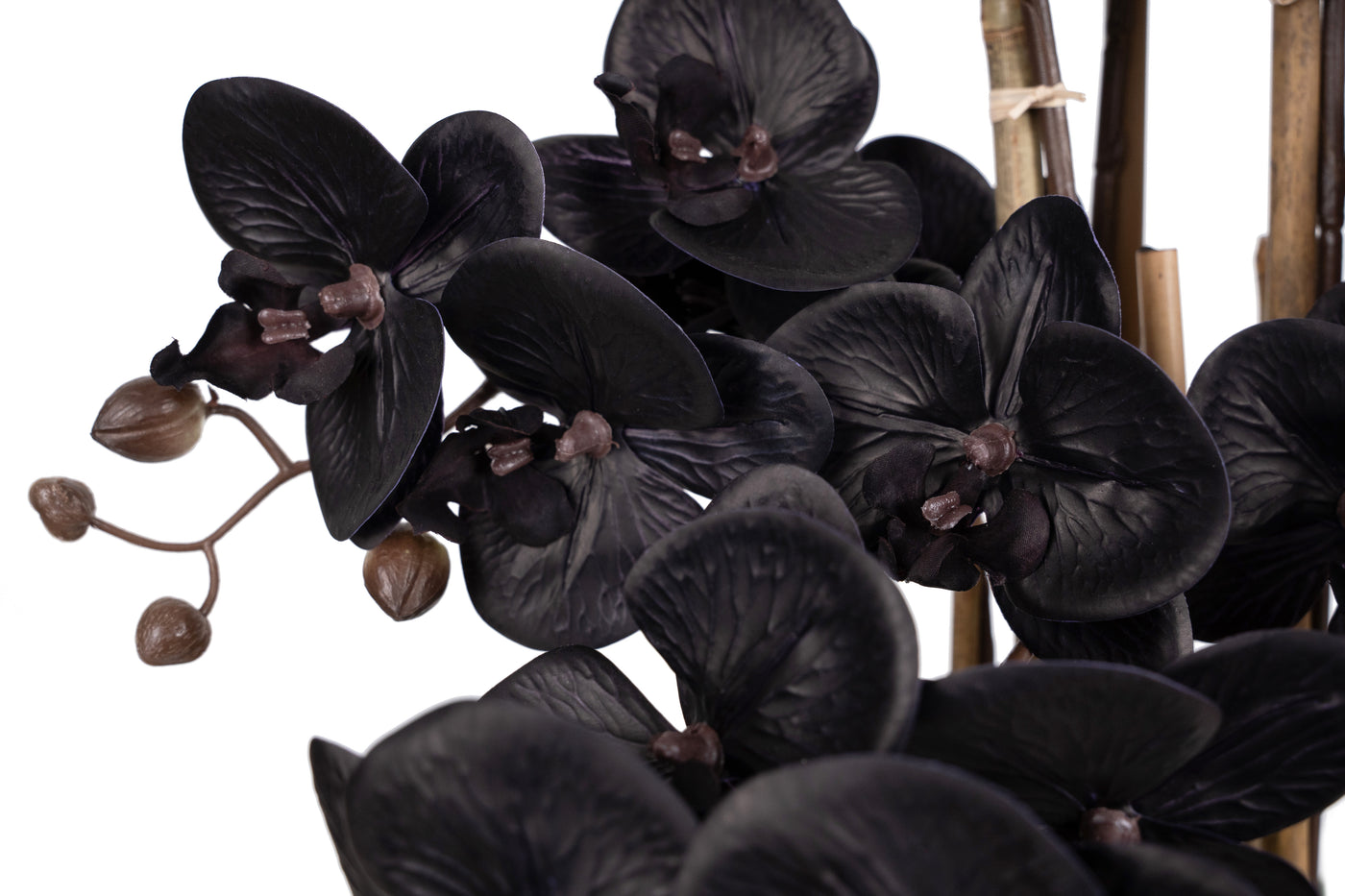 Orhidee artificiala neagra cu aspect natural H66 cm cu 6 tulpini