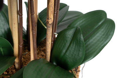 Orhidee artificiala neagra cu aspect natural H66 cm cu 6 tulpini