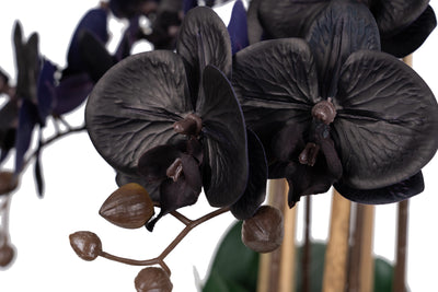 Orhidee artificiala neagra cu aspect natural H66 cm cu 6 tulpini