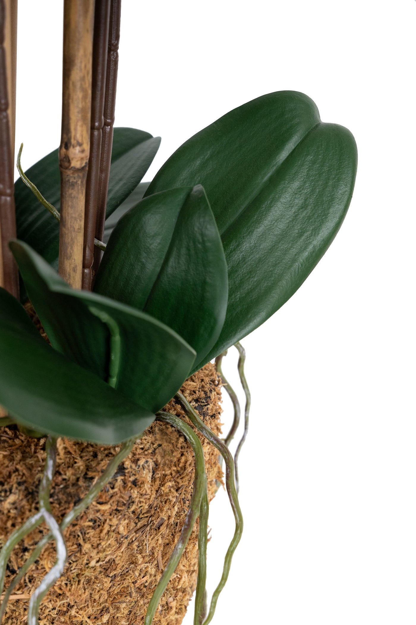 Orhidee artificiala neagra cu aspect natural H66 cm cu 6 tulpini