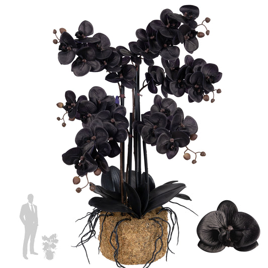 Orhidee artificiala neagra cu aspect natural H66 cm cu 6 tulpini cu frunze negre
