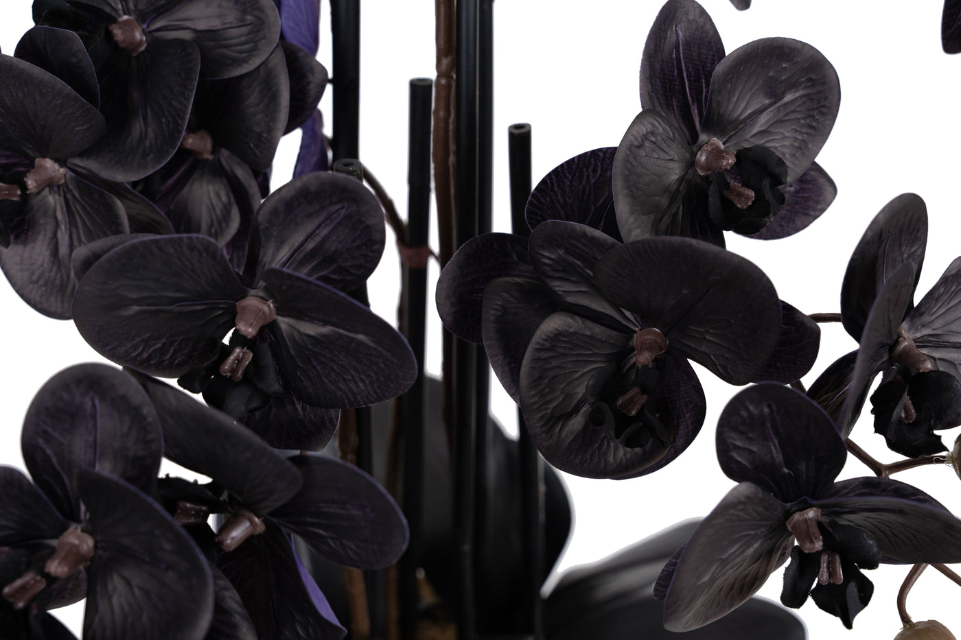 Orhidee artificiala neagra cu aspect natural H66 cm cu 6 tulpini cu frunze negre