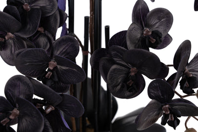 Orhidee artificiala neagra cu aspect natural H66 cm cu 6 tulpini cu frunze negre