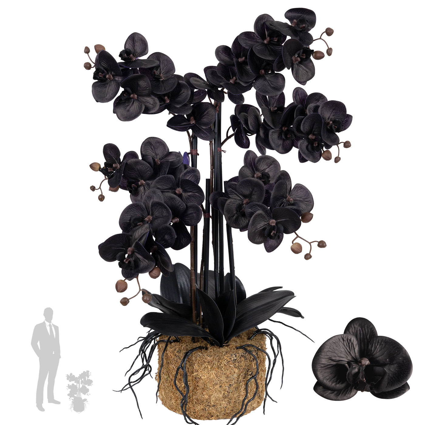 Orhidee artificiala neagra cu aspect natural H66 cm cu 6 tulpini cu frunze negre