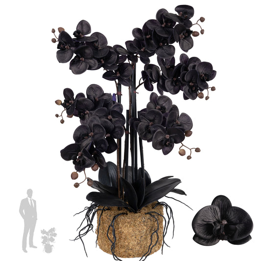 Orhidee artificiala neagra cu aspect natural H66 cm cu 6 tulpini cu frunze negre