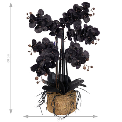 Orhidee artificiala neagra cu aspect natural H66 cm cu 6 tulpini cu frunze negre
