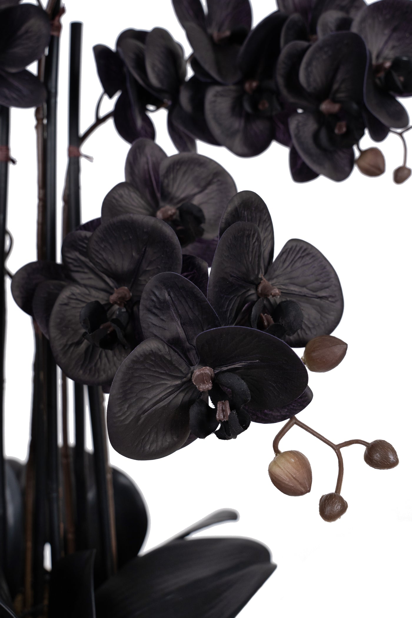 Orhidee artificiala neagra cu aspect natural H66 cm cu 6 tulpini cu frunze negre
