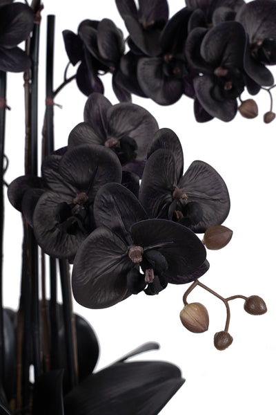 Orhidee artificiala neagra cu aspect natural H66 cm cu 6 tulpini cu frunze negre