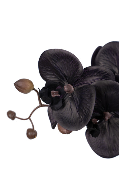Orhidee artificiala neagra cu aspect natural H66 cm cu 6 tulpini cu frunze negre