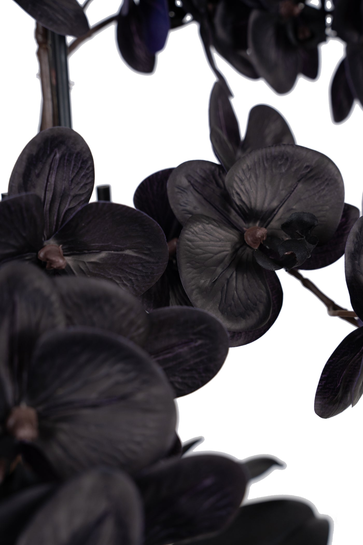 Orhidee artificiala neagra cu aspect natural H66 cm cu 6 tulpini cu frunze negre