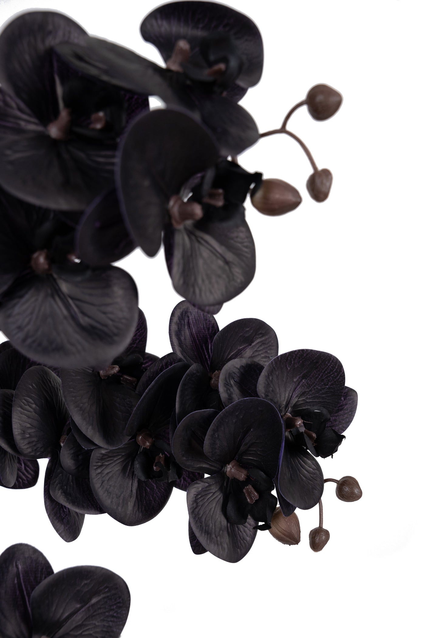 Orhidee artificiala neagra cu aspect natural H66 cm cu 6 tulpini cu frunze negre