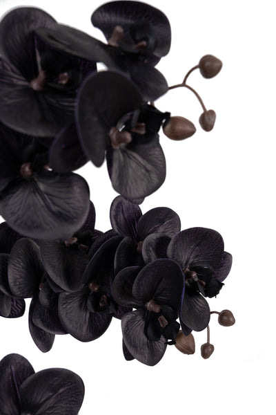 Orhidee artificiala neagra cu aspect natural H66 cm cu 6 tulpini cu frunze negre