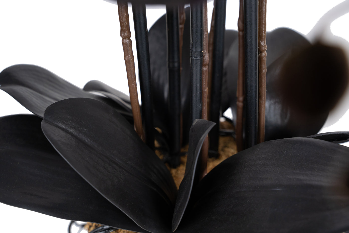 Orhidee artificiala neagra cu aspect natural H66 cm cu 6 tulpini cu frunze negre