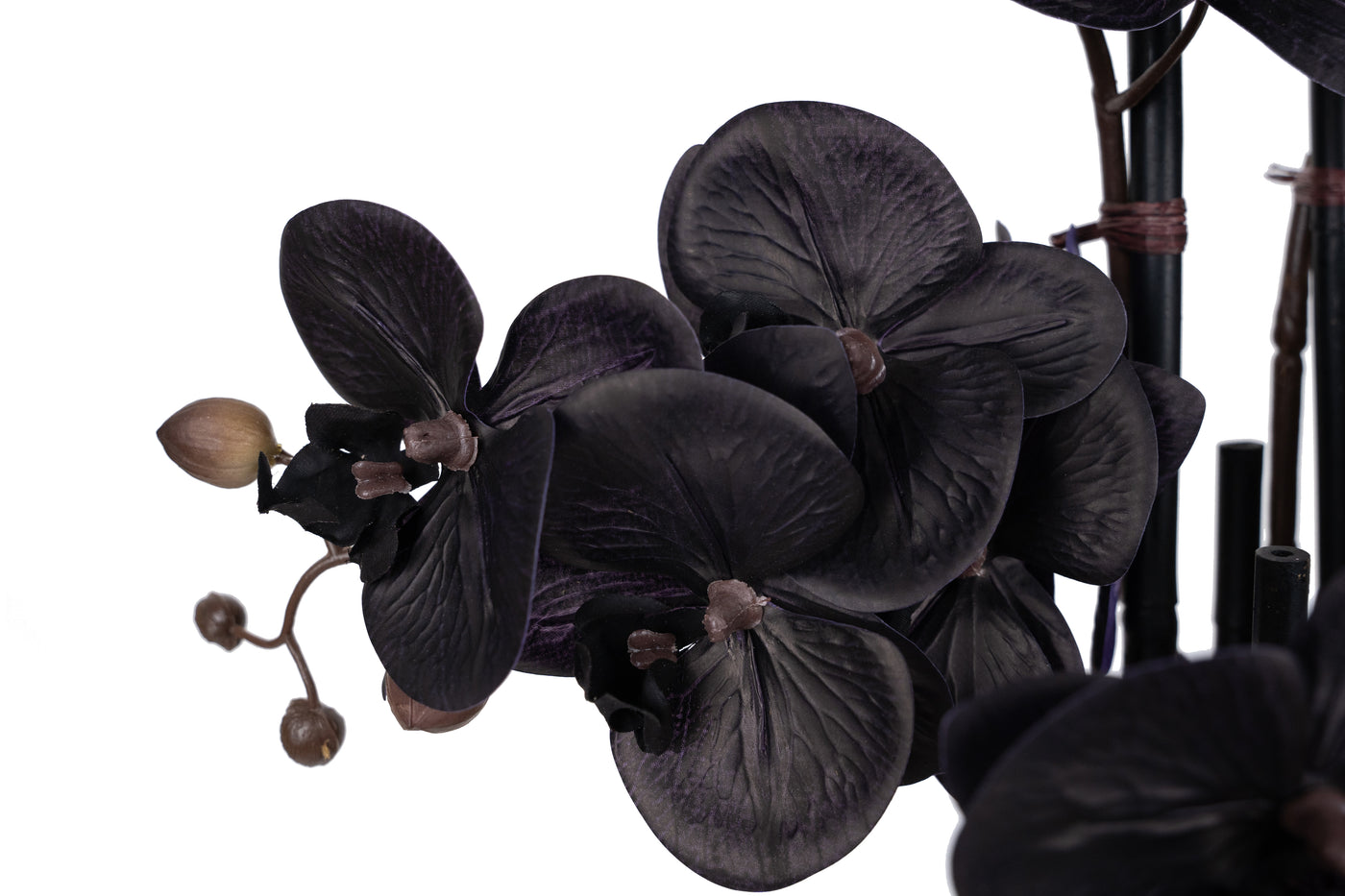 Orhidee artificiala neagra cu aspect natural H66 cm cu 6 tulpini cu frunze negre