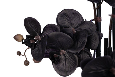 Orhidee artificiala neagra cu aspect natural H66 cm cu 6 tulpini cu frunze negre